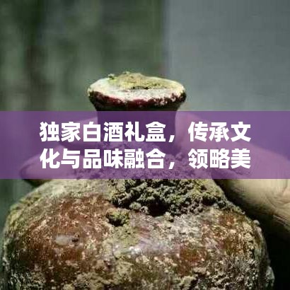 独家白酒礼盒,传承文化与品味融合,领略美酒之韵