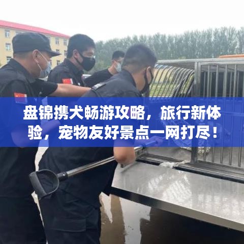 盘锦携犬畅游攻略，旅行新体验，宠物友好景点一网打尽！