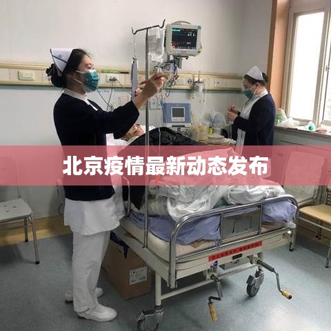 北京疫情最新动态发布