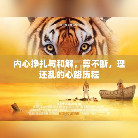 内心挣扎与和解,剪不断,理还乱的心路历程