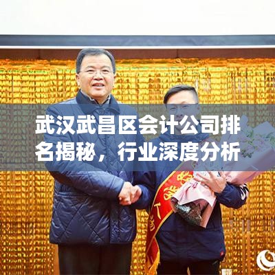 武汉武昌区会计公司排名揭秘,行业深度分析与解读