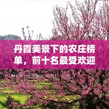 丹霞美景下的农庄榜单，前十名最受欢迎的农庄推荐！