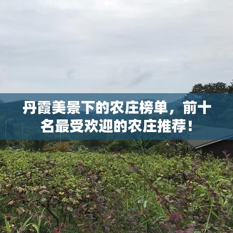 丹霞美景下的农庄榜单,前十名最受欢迎的农庄推荐!