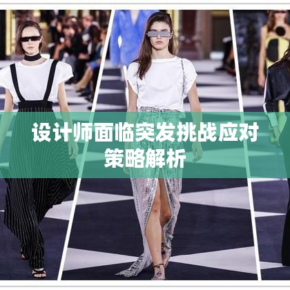设计师面临突发挑战应对策略解析