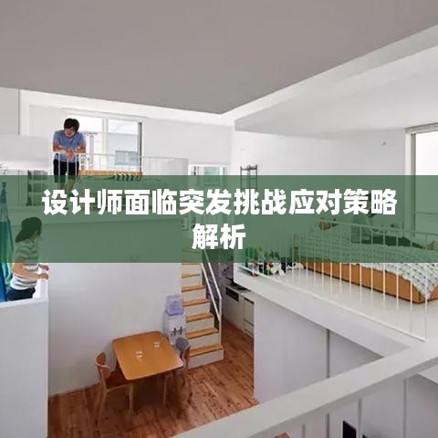 设计师面临突发挑战应对策略解析