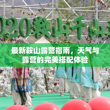 最新鞍山露营指南,天气与露营的完美搭配体验