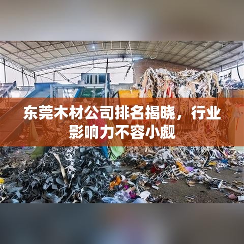 东莞木材公司排名揭晓，行业影响力不容小觑