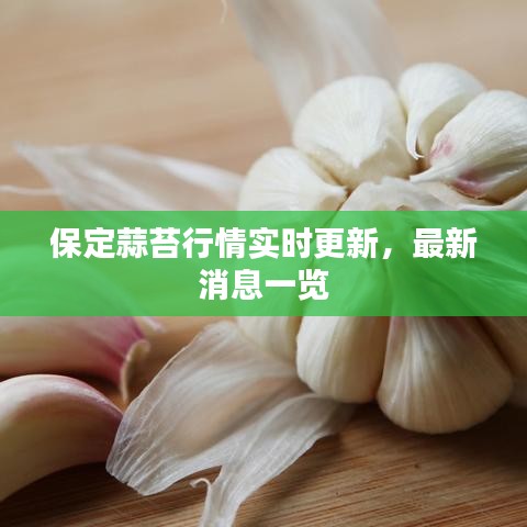 保定蒜苔行情实时更新，最新消息一览
