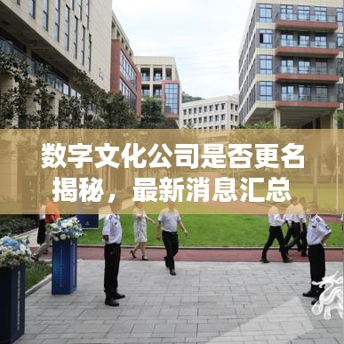 数字文化公司是否更名揭秘,最新消息汇总