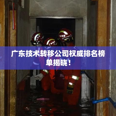 广东技术转移公司权威排名榜单揭晓！