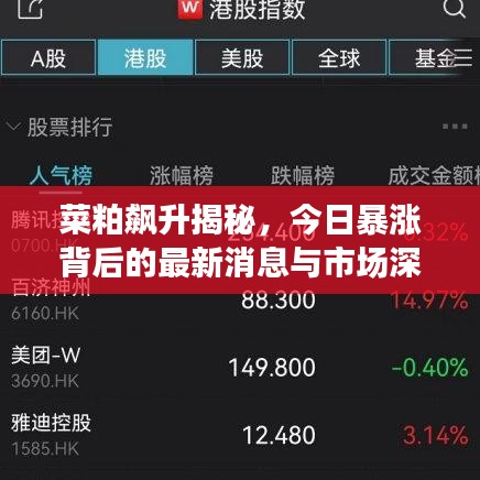 菜粕飙升揭秘，今日暴涨背后的最新消息与市场深度分析