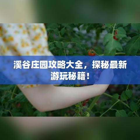溪谷庄园攻略大全,探秘最新游玩秘籍!