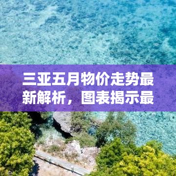 三亚五月物价走势最新解析，图表揭示最新动态！