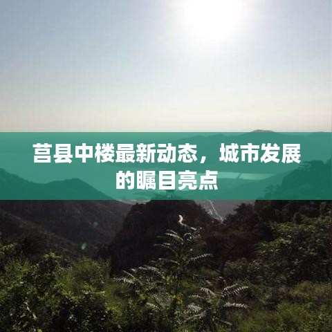 莒县中楼最新动态，城市发展的瞩目亮点