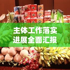 主体工作落实进展全面汇报，实施细节与成效一网打尽！