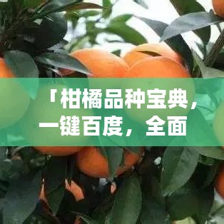 集腋成裘 第5页