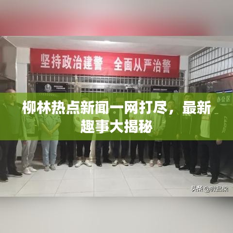 柳林热点新闻一网打尽，最新趣事大揭秘