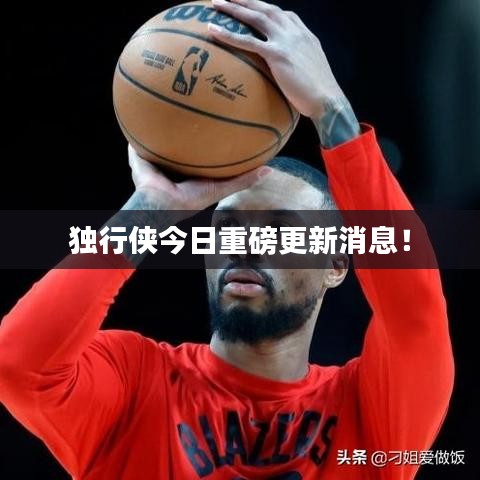 独行侠今日重磅更新消息!