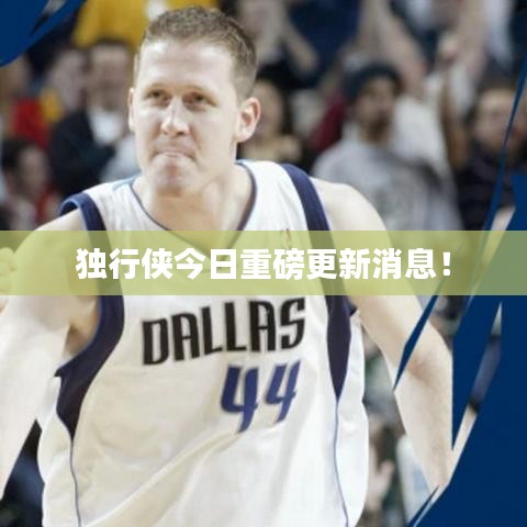 独行侠今日重磅更新消息!