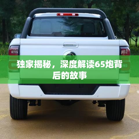 独家揭秘，深度解读65炮背后的故事