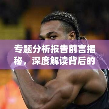 专题分析报告前言揭秘,深度解读背后的数据与故事!