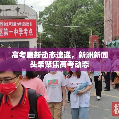 高考最新动态速递，新洲新闻头条聚焦高考动态