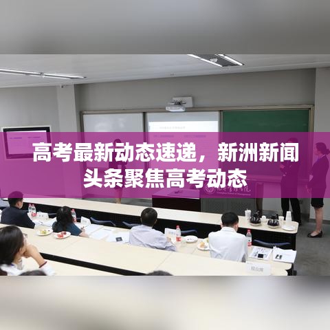 高考最新动态速递,新洲新闻头条聚焦高考动态