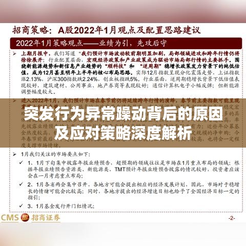 突发行为异常躁动背后的原因及应对策略深度解析