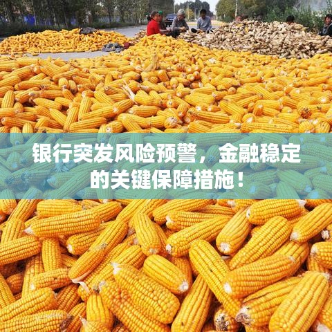 银行突发风险预警，金融稳定的关键保障措施！