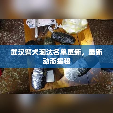 武汉警犬淘汰名单更新,最新动态揭秘