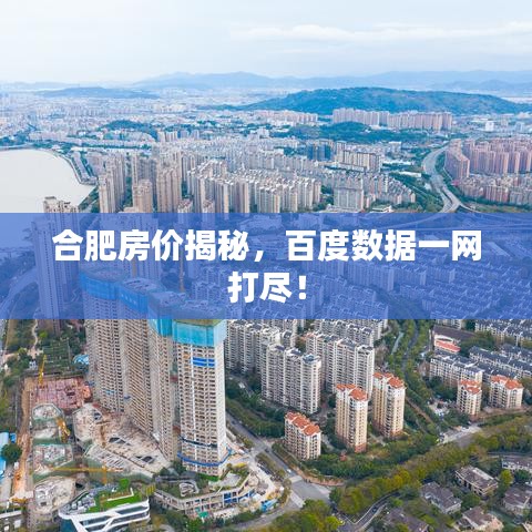 合肥房价揭秘，百度数据一网打尽！
