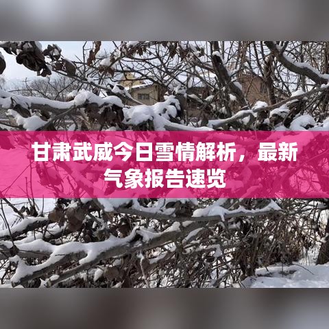 甘肃武威今日雪情解析，最新气象报告速览