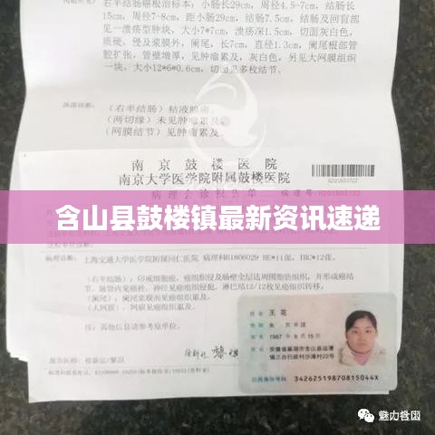 含山县鼓楼镇最新资讯速递