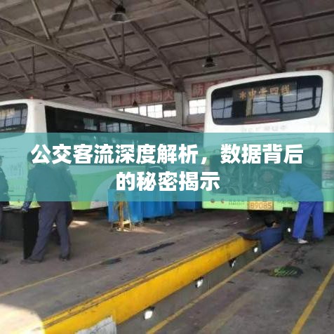 公交客流深度解析，数据背后的秘密揭示