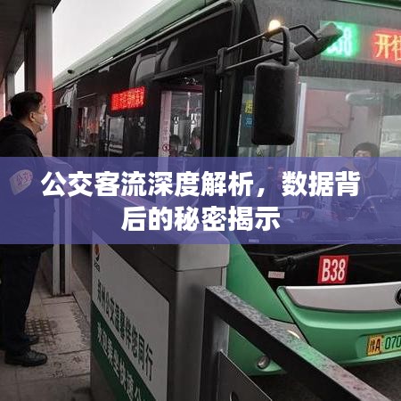 公交客流深度解析,数据背后的秘密揭示