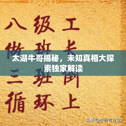 太湖牛哥揭秘,未知真相大探索独家解读