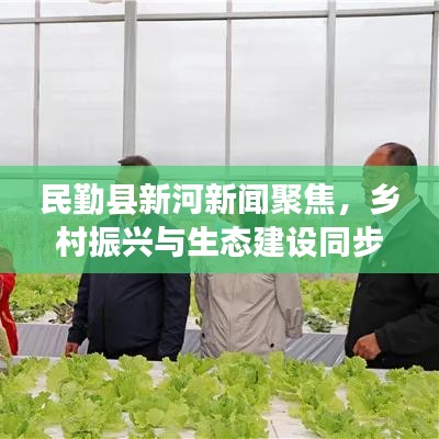 民勤县新河新闻聚焦,乡村振兴与生态建设同步发展之路