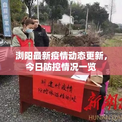 浏阳最新疫情动态更新，今日防控情况一览