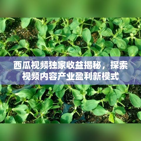 西瓜视频独家收益揭秘,探索视频内容产业盈利新模式