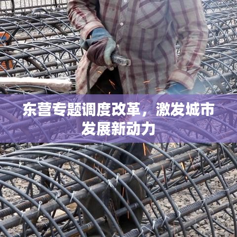 东营专题调度改革，激发城市发展新动力
