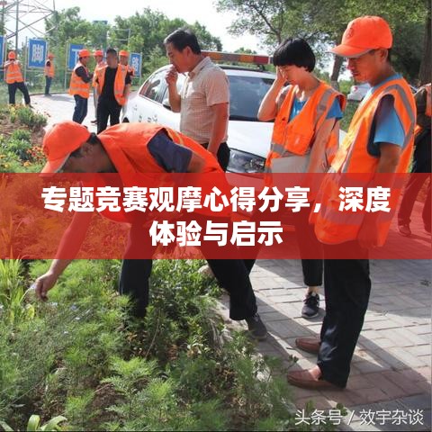 专题竞赛观摩心得分享，深度体验与启示