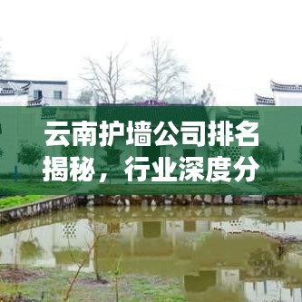云南护墙公司排名揭秘，行业深度分析，权威榜单不容错过！
