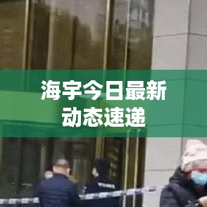 海宇今日最新动态速递
