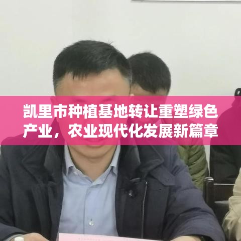 凯里市种植基地转让重塑绿色产业，农业现代化发展新篇章开启