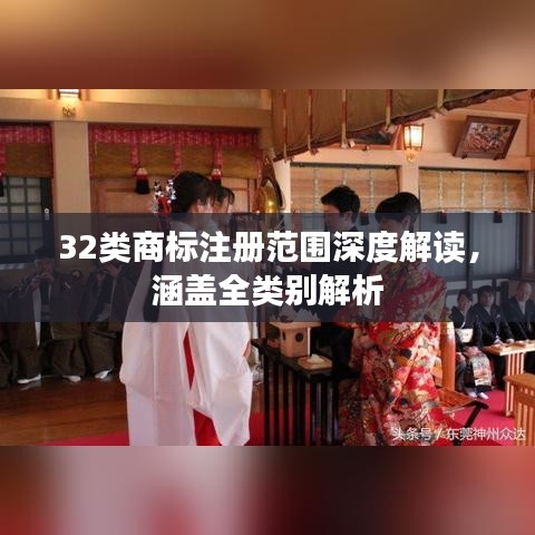 32类商标注册范围深度解读，涵盖全类别解析