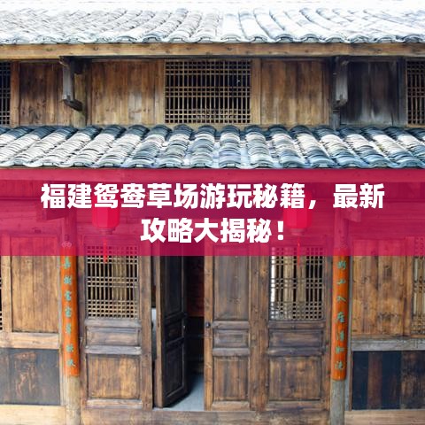 福建鸳鸯草场游玩秘籍，最新攻略大揭秘！