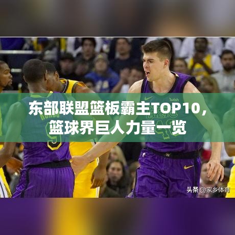 东部联盟篮板霸主TOP10，篮球界巨人力量一览