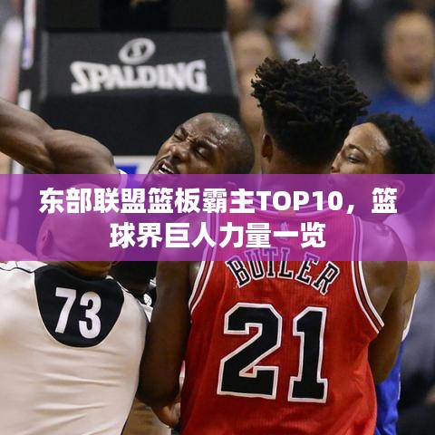 东部联盟篮板霸主TOP10,篮球界巨人力量一览