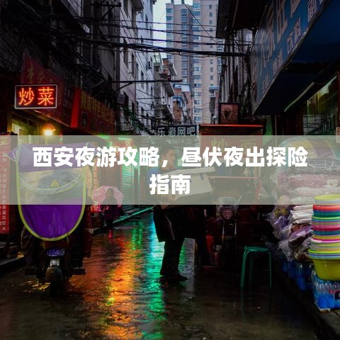 西安夜游攻略,昼伏夜出探险指南