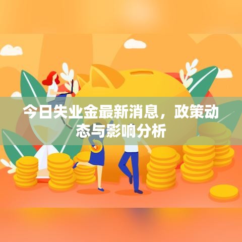 今日失业金最新消息,政策动态与影响分析